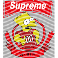 Brand Catalog-ZX 974